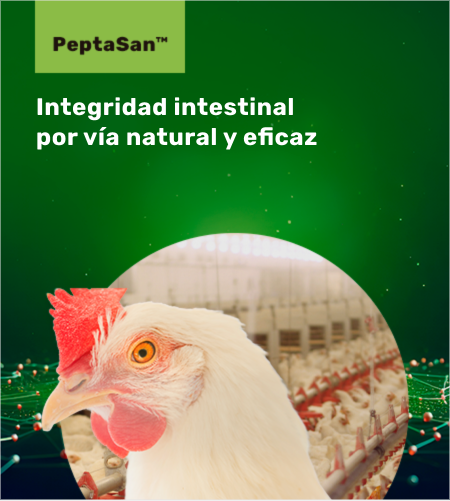 Integridad intestinal por vía natural y eficaz