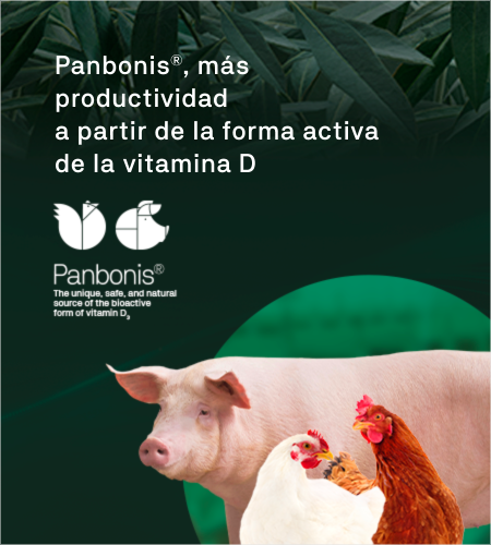 Panbonis®, más productividad a partir de la forma activa de la vitamina D