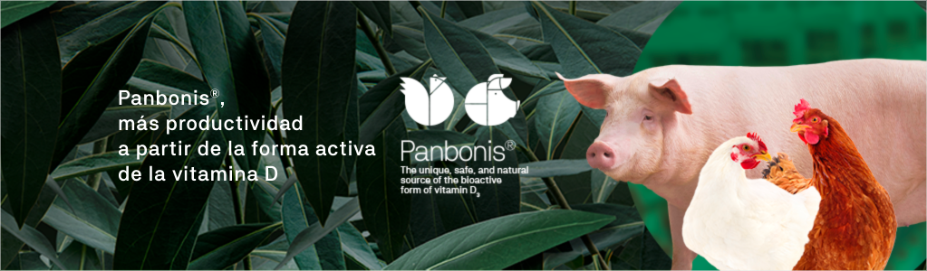 Panbonis®, más productividad a partir de la forma activa de la vitamina D