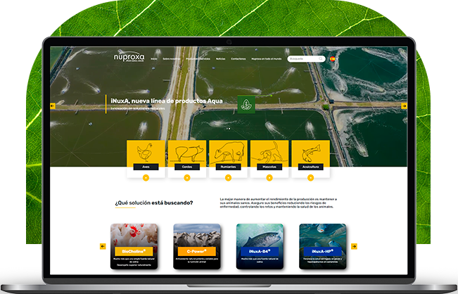 Visite el sitio Web de Nuproxa Switzerland y conozca toda nuestra línea de soluciones naturales para la nutrición y salud animal. www.nuproxa.ch